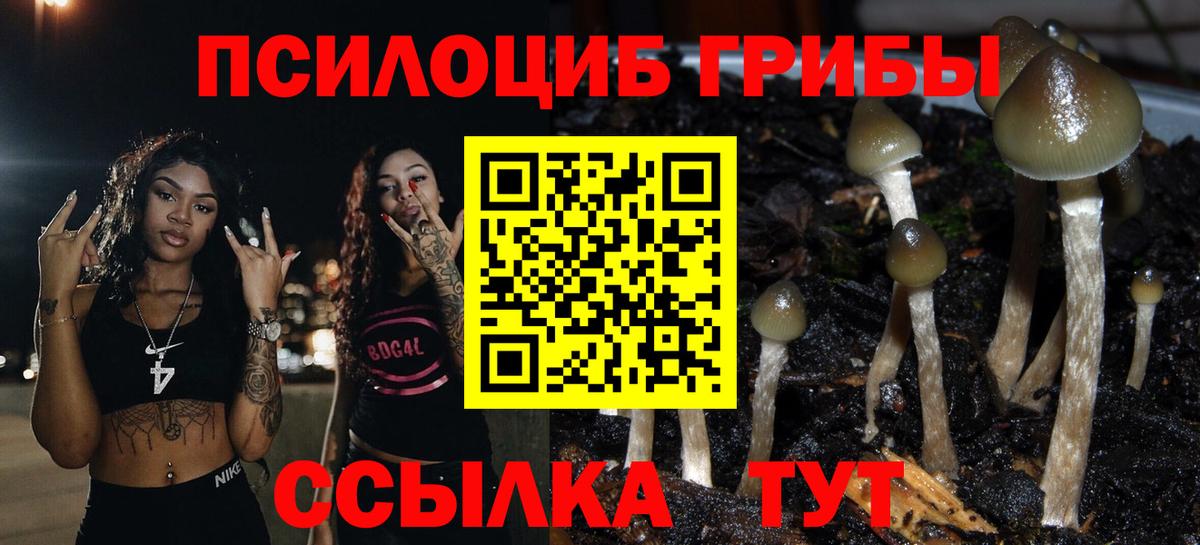 Галлюциногенные грибы Cubensis Тимашёвск